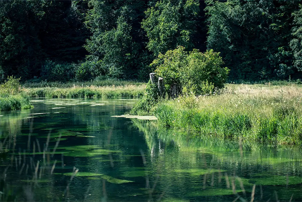 Herbrechtingen