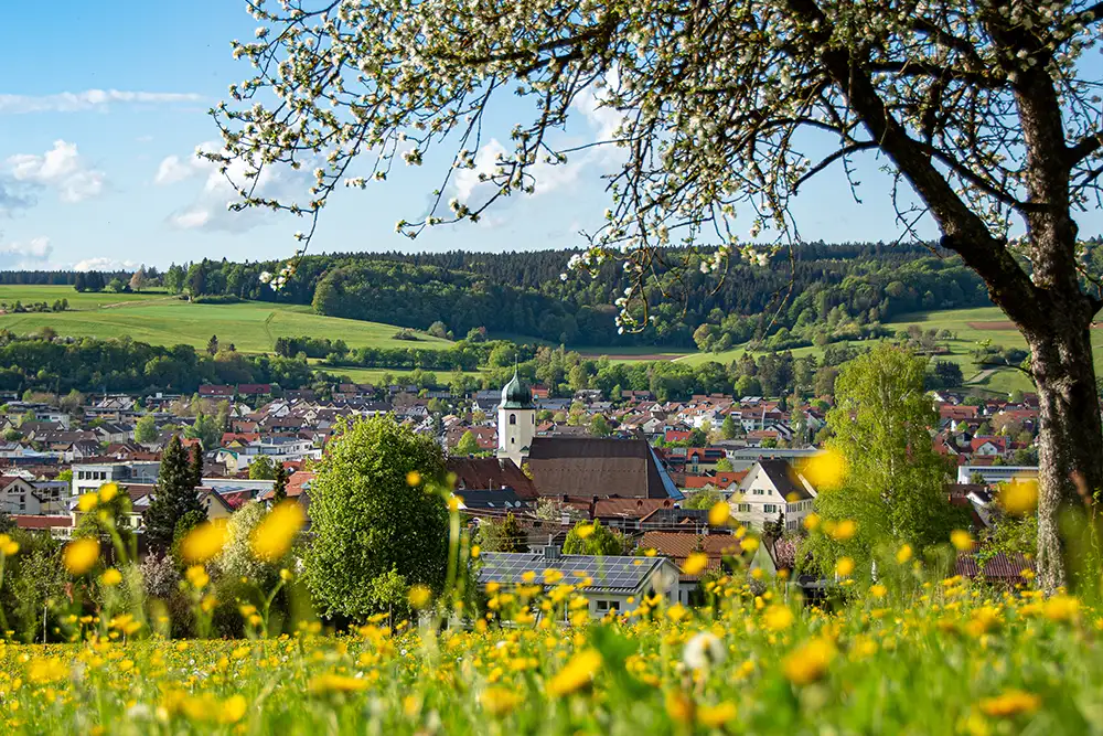 Steinheim